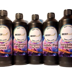 REEFmeds "Xmas in July" Colour Enhancement Bundle Deal™